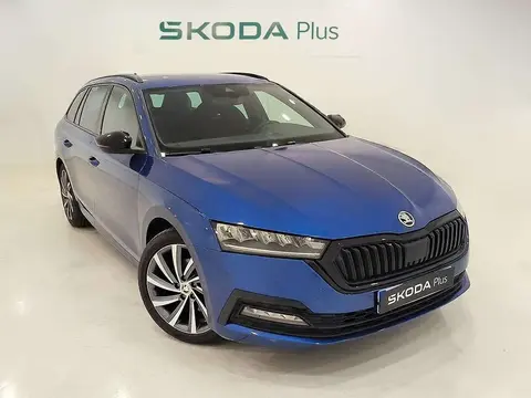 Used SKODA OCTAVIA Petrol 2023 Ad 