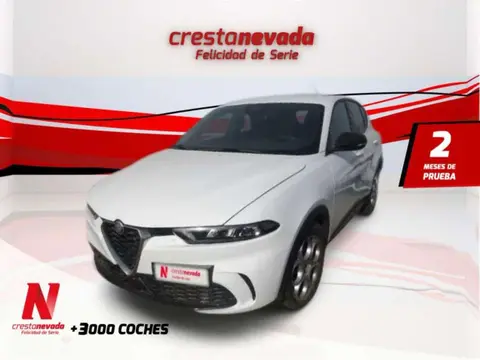 Annonce ALFA ROMEO TONALE Diesel 2023 d'occasion 