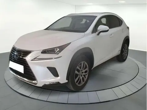 Used LEXUS NX Hybrid 2018 Ad 