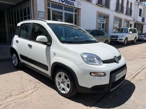 Used FIAT PANDA Hybrid 2023 Ad 