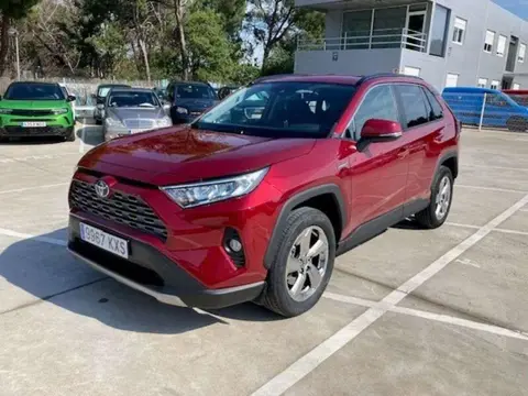 Used TOYOTA RAV4 Hybrid 2019 Ad 