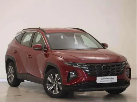 Annonce HYUNDAI TUCSON Essence 2023 d'occasion 