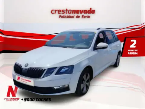 Annonce SKODA OCTAVIA Essence 2019 d'occasion 