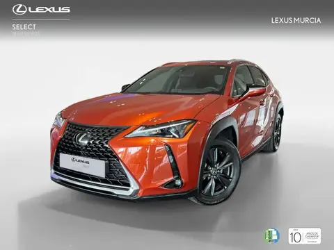 Annonce LEXUS UX Essence 2023 d'occasion 