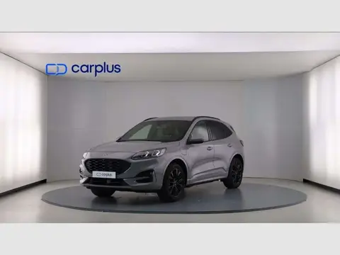 Annonce FORD KUGA Électrique 2023 d'occasion 