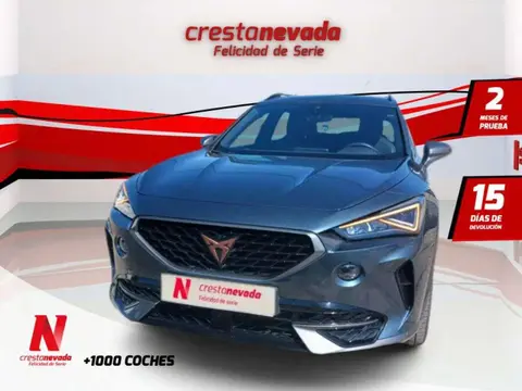 Used CUPRA FORMENTOR Petrol 2021 Ad 