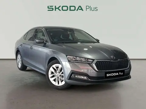 Used SKODA OCTAVIA Petrol 2023 Ad 