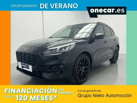 Annonce FORD KUGA Essence 2023 d'occasion 