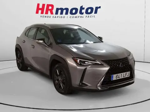 Used LEXUS UX Hybrid 2020 Ad 