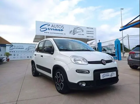 Used FIAT PANDA Hybrid 2021 Ad 