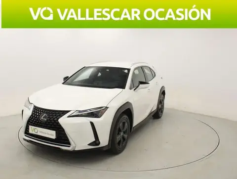 Annonce LEXUS UX Électrique 2023 d'occasion 