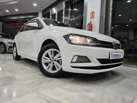 Used VOLKSWAGEN POLO Diesel 2019 Ad 