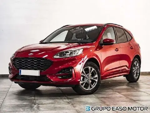 Annonce FORD KUGA Diesel 2023 d'occasion 