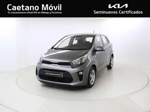 Annonce KIA PICANTO Essence 2023 d'occasion 