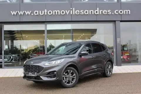 Used FORD KUGA Hybrid 2023 Ad 