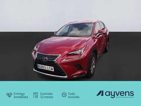 Used LEXUS NX Hybrid 2019 Ad 