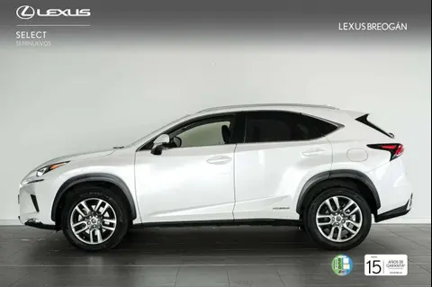 Used LEXUS NX Hybrid 2020 Ad 