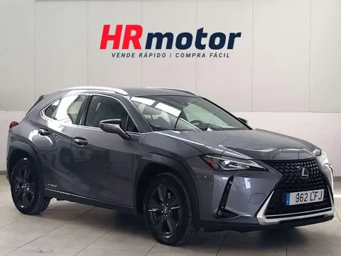 Used LEXUS UX Hybrid 2020 Ad 