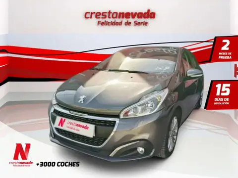 Used PEUGEOT 208 Petrol 2019 Ad 