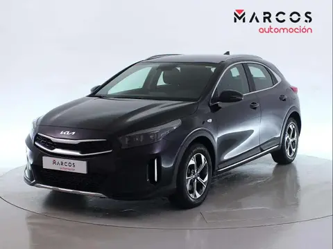 Used KIA XCEED Petrol 2022 Ad 