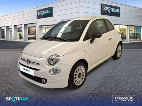 Used FIAT 500 Petrol 2023 Ad 