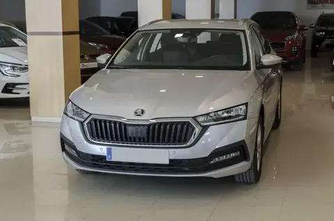 Annonce SKODA OCTAVIA Diesel 2023 d'occasion 