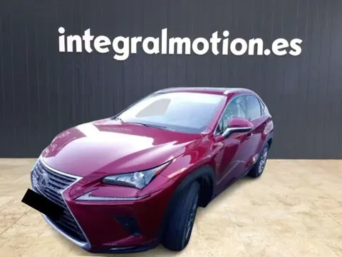 Annonce LEXUS NX Hybride 2020 d'occasion 