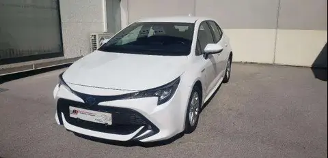 Used TOYOTA COROLLA Petrol 2019 Ad 