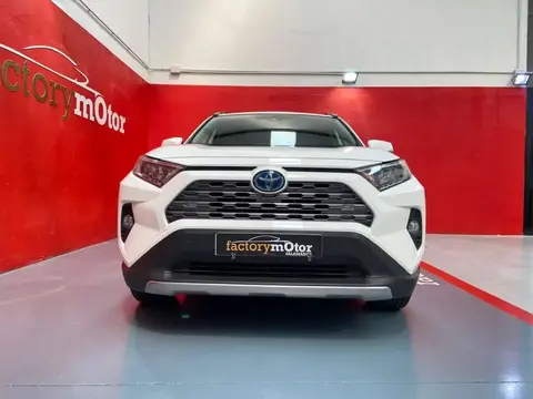 Used TOYOTA RAV4 Hybrid 2020 Ad 