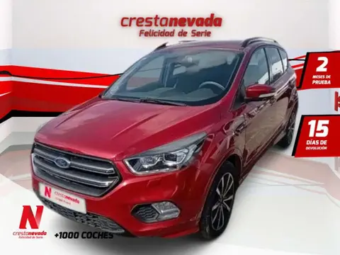 Annonce FORD KUGA Diesel 2018 d'occasion 