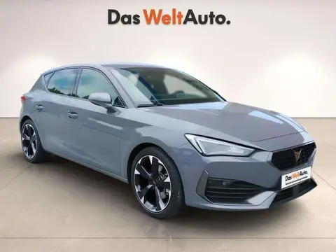 Used CUPRA LEON Petrol 2024 Ad 