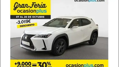 Annonce LEXUS UX Hybride 2023 d'occasion 