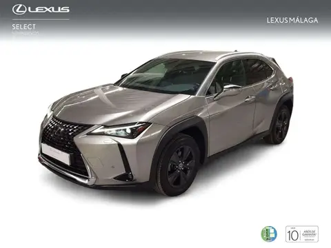 Annonce LEXUS UX Hybride 2023 d'occasion 