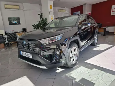 Used TOYOTA RAV4 Hybrid 2020 Ad 