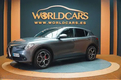 Annonce ALFA ROMEO STELVIO Diesel 2019 d'occasion 