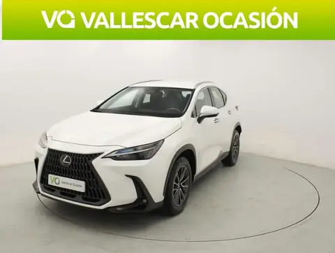 Annonce LEXUS NX Essence 2024 d'occasion 