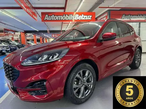 Annonce FORD KUGA Diesel 2021 d'occasion 