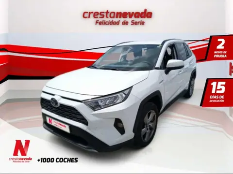 Annonce TOYOTA RAV4 Hybride 2020 d'occasion 