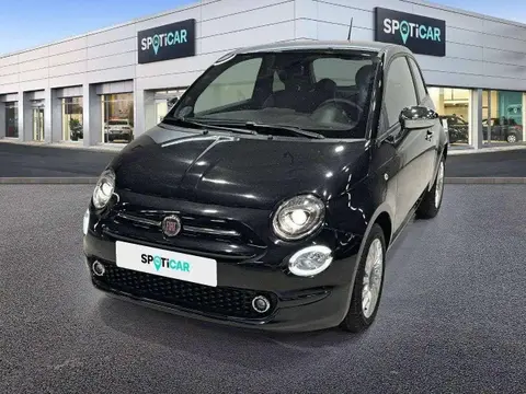 Used FIAT 500 Petrol 2023 Ad 