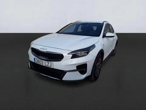 Used KIA XCEED Petrol 2022 Ad 