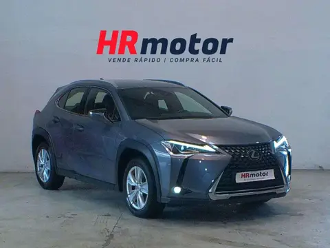 Used LEXUS UX Hybrid 2021 Ad 