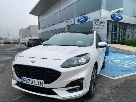 Annonce FORD KUGA Essence 2022 d'occasion 