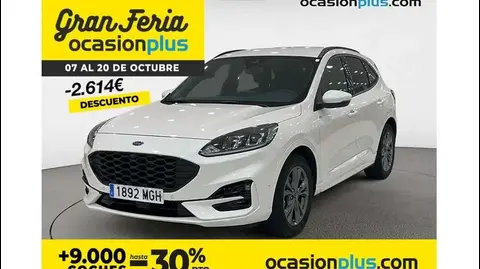 Annonce FORD KUGA Hybride 2023 d'occasion 