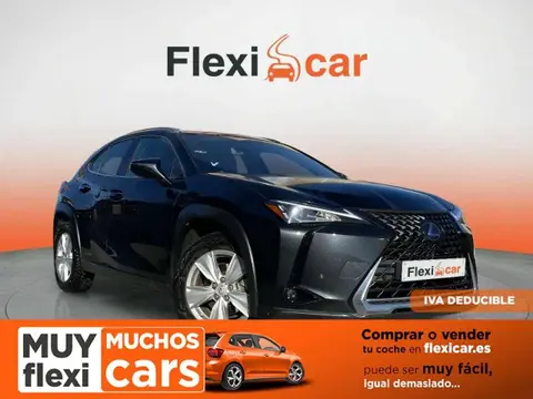 Used LEXUS UX Hybrid 2022 Ad 