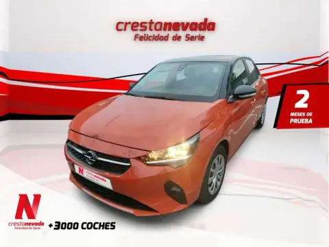 Annonce OPEL CORSA Essence 2020 d'occasion 