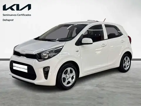 Annonce KIA PICANTO Essence 2023 d'occasion 