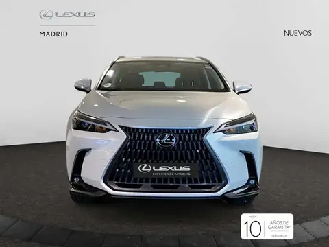 Annonce LEXUS NX Hybride 2024 d'occasion 