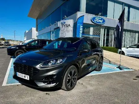 Annonce FORD KUGA Essence 2023 d'occasion 