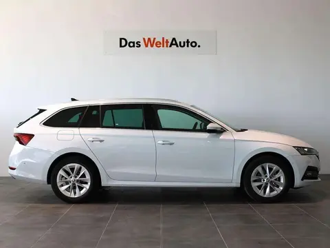 Used SKODA OCTAVIA Petrol 2024 Ad 