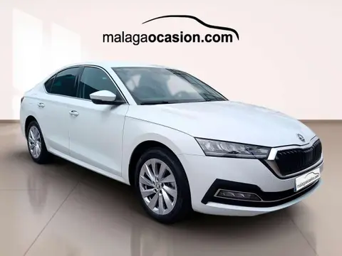 Annonce SKODA OCTAVIA Diesel 2024 d'occasion 